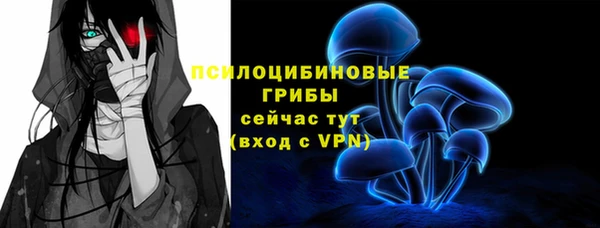 a pvp Горняк
