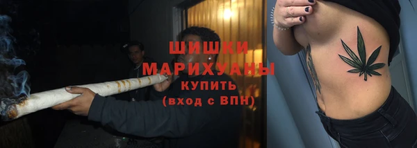 a pvp Горняк